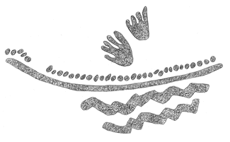 Drawing by Thomas Doty. Image.