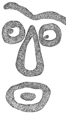 Drawing by Thomas Doty. Image.