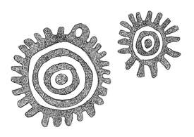 Drawing by Thomas Doty. Image.