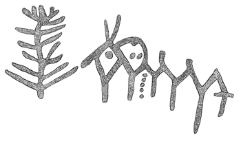 Drawing by Thomas Doty. Image.