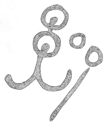 Drawing by Thomas Doty. Image.