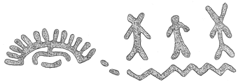 Drawing by Thomas Doty. Image.