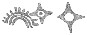 Drawing by Thomas Doty. Image.