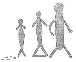 Drawing by Thomas Doty. Image.