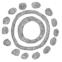 Drawing by Thomas Doty. Image.