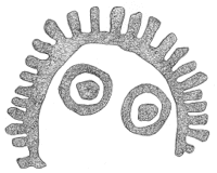 Drawing by Thomas Doty. Image.