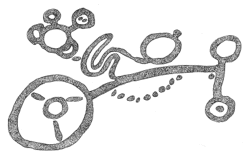 Drawing by Thomas Doty. Image.